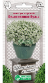 Картинка анонса товара «алиссум белоснежная вуаль (10шт) "евросемена"»