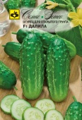 Огурец Далила F1 (0,5г) 