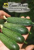 Огурец Гуннар F1 (10шт) 