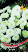 Картинка анонса товара «астра карликовая классик белая (100шт) "дом семян"»