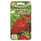 Клубника Женева (10шт) 
