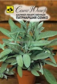 Шалфей Патриарший Семко 
