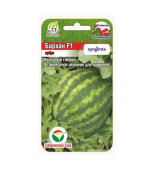 Арбуз Бархан F1 (4шт) 