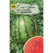 Арбуз Началово F1 (5шт) 
