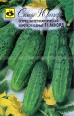 Огурец Аккорд F1