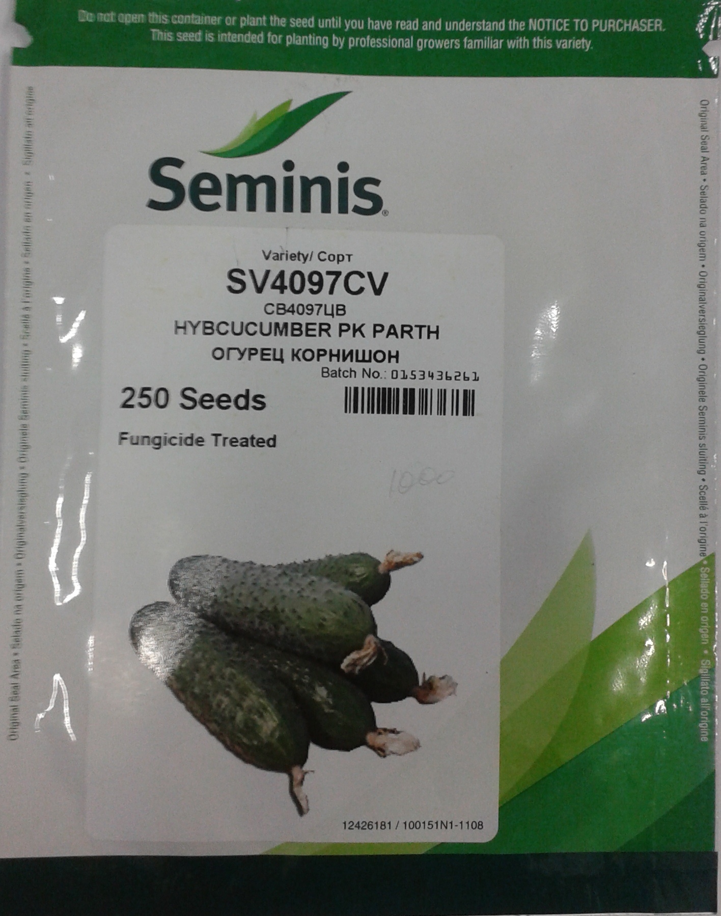 Св4097цв семена огурцов. Огурец sv4097 f1. Св4097цв семена огурцов. Огурец св 4097 f1 10 шт. Семена огурца 4097.