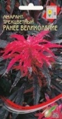 Картинка анонса товара «амарант трехцветный ранее великолепие (100шт) "дом семян"»