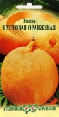 Тыква Кустовая оранжевая (2г) 