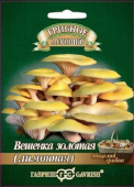 Вешенка золотая Лимонная на древесн. палочке больш. пак. 12 шт.