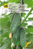 Огурец Кайман F1 (10шт) 
