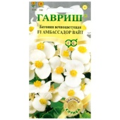 Бегония вечноцветущая Амбассадор Вайт F1(4шт) 