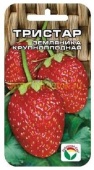 Клубника Тристар (10шт) 