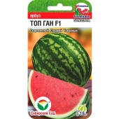 Арбуз Топ Ган F1 (3шт) 