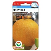 Дыня Золушка (7шт)  