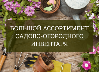 Инвентарь Инвентарь