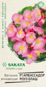 Картинка анонса товара «бегония  амбассадор роуз блаш f1 (4шт) "гавриш"»