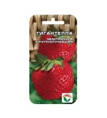 Клубника Гигантелла 10шт (Сиб.сад)