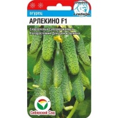 Огурец  Арлекино F1 (5шт) 