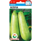 Кабачок Белуха (5шт) 