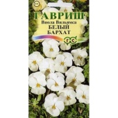 Виола Вильямса Белый бархат F1 (5шт) 