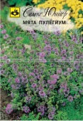 Мята Пулегиум