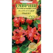 Бегония вечноцветущая Амбассадор Скарлет F1(4шт) 