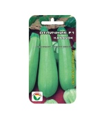 Кабачок Отличник F1 (3шт) 