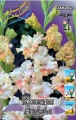 Гладиолус Кисси Раффл