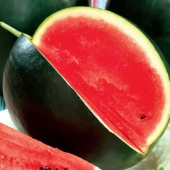 Картинка анонса товара «арбуз сибирские огни (10шт.) евросемена»