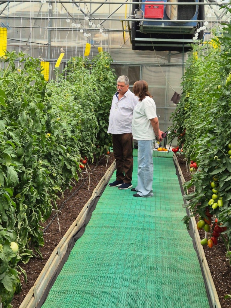 a5a97d36-d9df-4371-8ada-02ab7cd31c21.jpg a5a97d36-d9df-4371-8ada-02ab7cd31c21.jpg