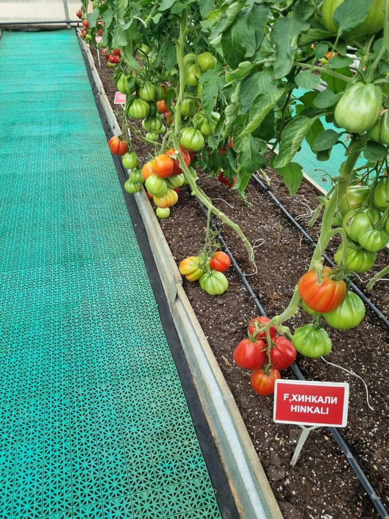 8199a8fa-1800-4d2b-8528-2dbb809dad89.jpg 8199a8fa-1800-4d2b-8528-2dbb809dad89.jpg