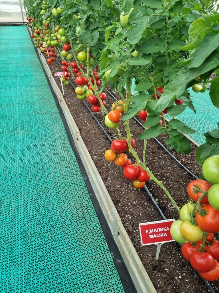 9ca674ab-0ad4-441c-88d5-bb19329a30d3.jpg 9ca674ab-0ad4-441c-88d5-bb19329a30d3.jpg