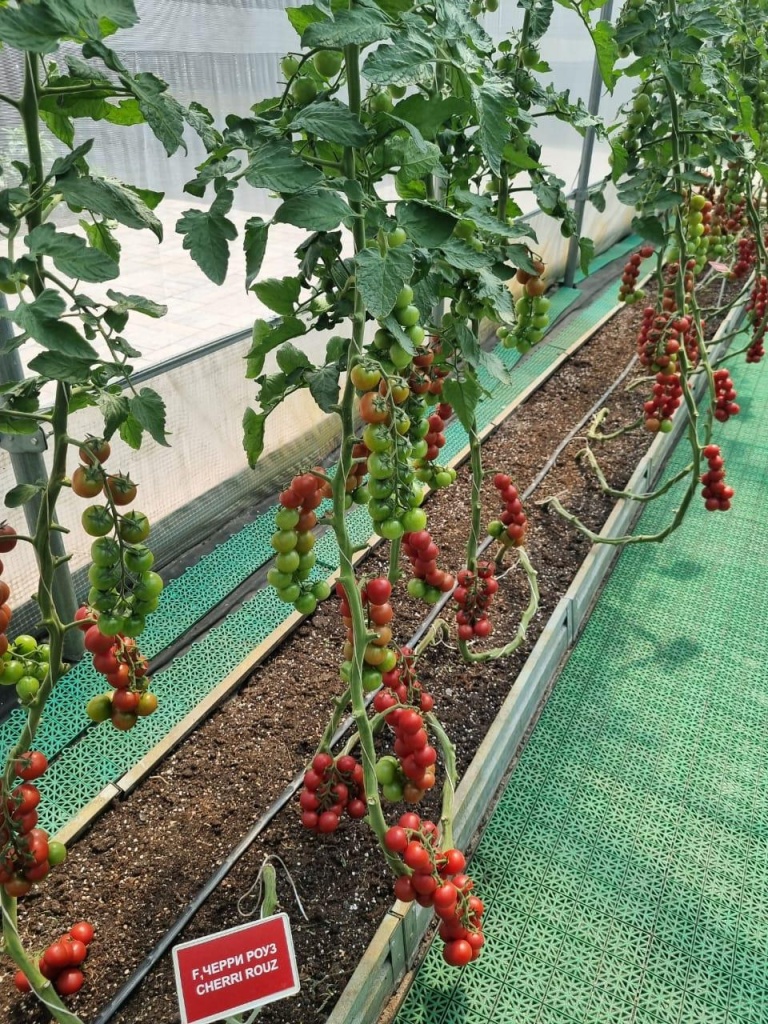 305b0fda-f47f-4707-8d81-6d9c1933047f.jpg 305b0fda-f47f-4707-8d81-6d9c1933047f.jpg