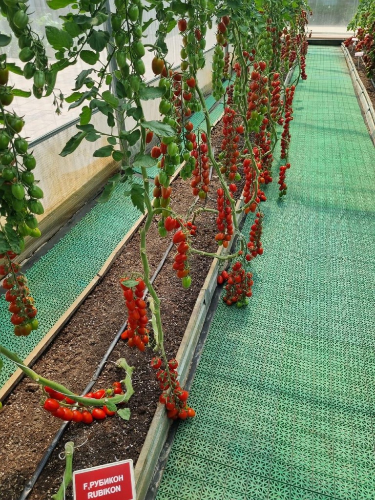 32eeb553-94c4-48ae-a227-16b08ca2f7e6.jpg 32eeb553-94c4-48ae-a227-16b08ca2f7e6.jpg