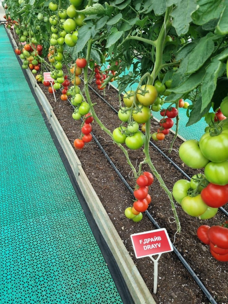 7f188546-9471-4b96-9c92-afb3ad300c6a.jpg 7f188546-9471-4b96-9c92-afb3ad300c6a.jpg