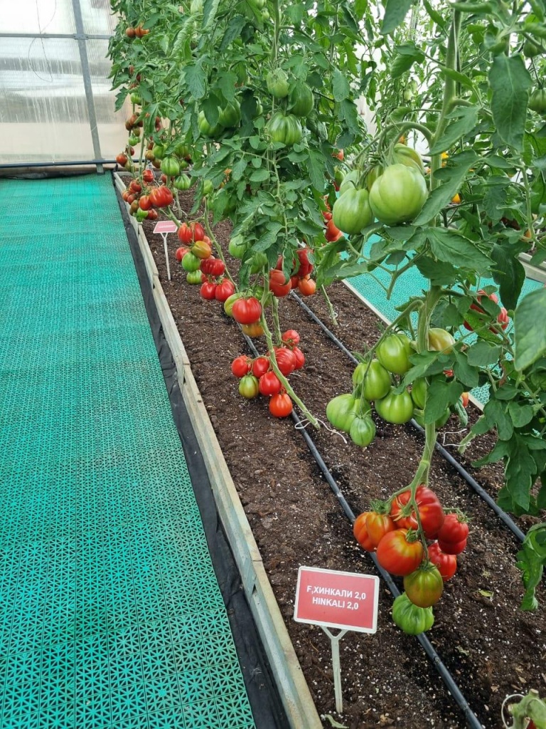 cbcbf030-ea8d-4ef5-a3db-64c23c1886e6.jpg cbcbf030-ea8d-4ef5-a3db-64c23c1886e6.jpg