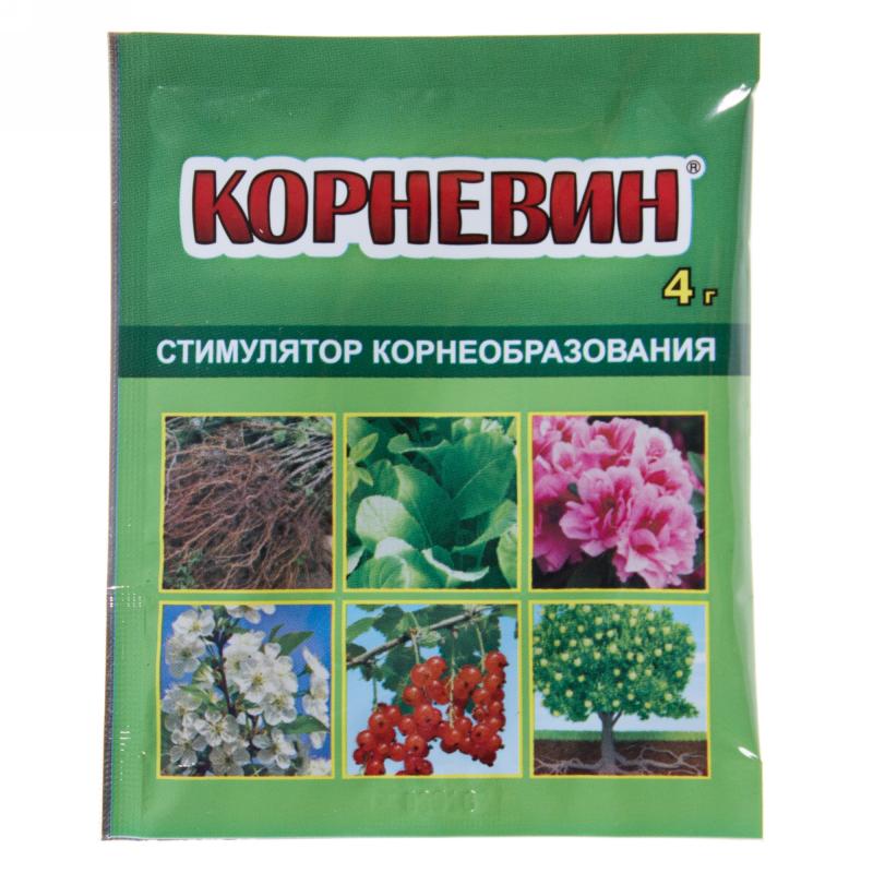 корневин.jpg корневин.jpg