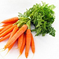 Изображение раздела «Морковь»