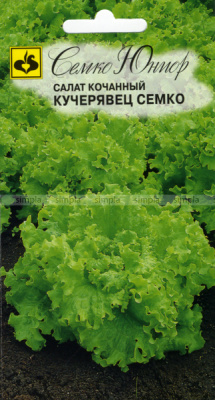 Салат кочанный Кучерявец 1г 