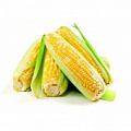 Изображение раздела «Кукуруза»