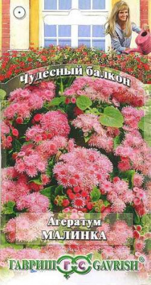Агератум Малинка (0,1г) 