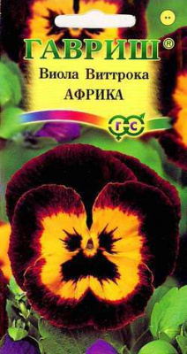 Виола Виттрока Африка