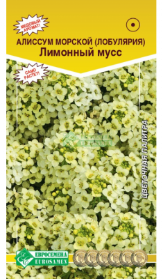 Детальная картинка товара «алиссум лимонный мусс (0,05г) "евросемена"»