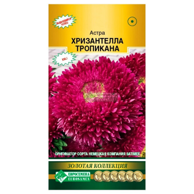 Астра хризантелла Тропикана (5шт) 