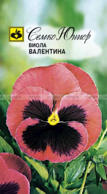 Виола Валентина