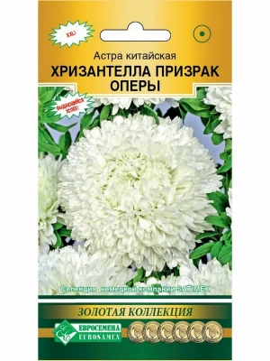 Детальная картинка товара « астра хризантелла призрак оперы (5шт.) "евросемена"»