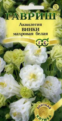 Аквилегия Винки Белая  (5шт) 
