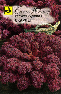 Капуста листовая (Кале) Скарлет (0,3г) 