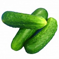 Изображение раздела «Огурцы»