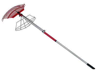 Детальная картинка товара «12433 грабли веерные с захватом листвы/25зуб/с/ч/"ruscaд"»